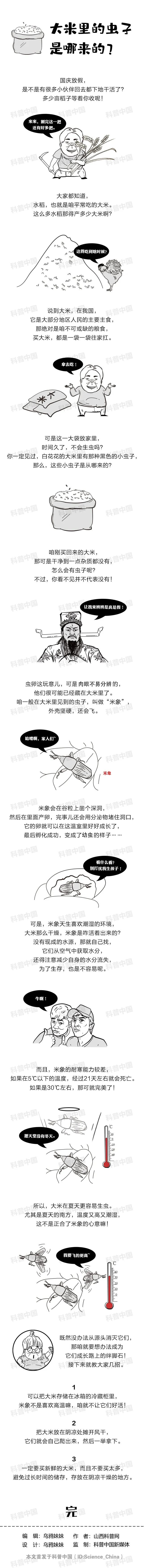 大米里都会生什么样的虫子,大米有黑色小虫子是什么虫子