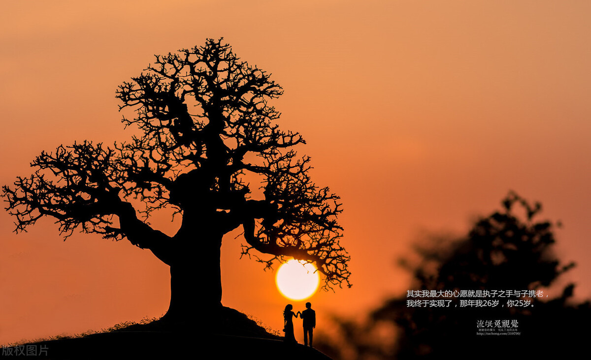 小说感情短篇,小说缘分全集