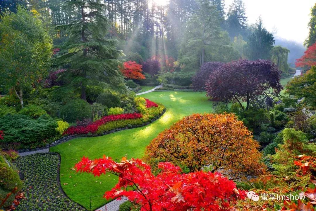 走进爱丽丝梦游仙境,爱丽丝梦游仙境绝美森林