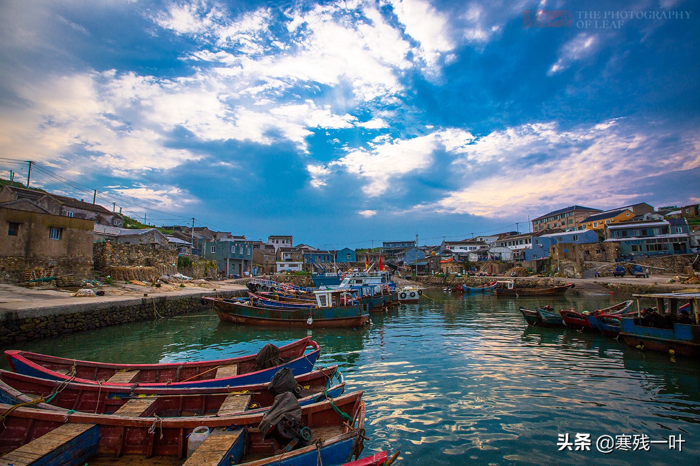 大黄鱼浙江人,浙江鱼民捕获8.7公斤野生大黄鱼