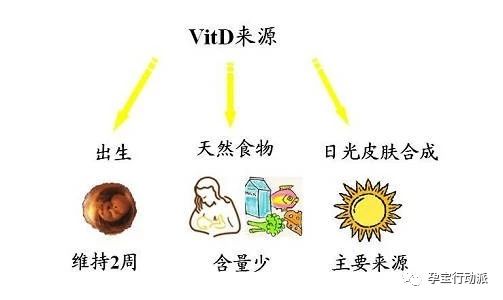 孕期记录十月,宝妈孕周刊