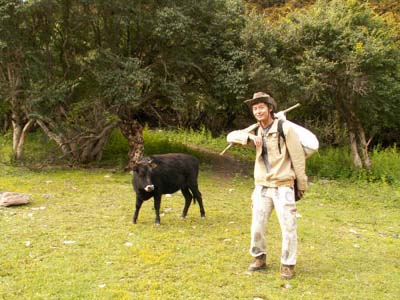 作为中国最狂天才，主动从三所世界名校退学，为啥被微软全球封杀