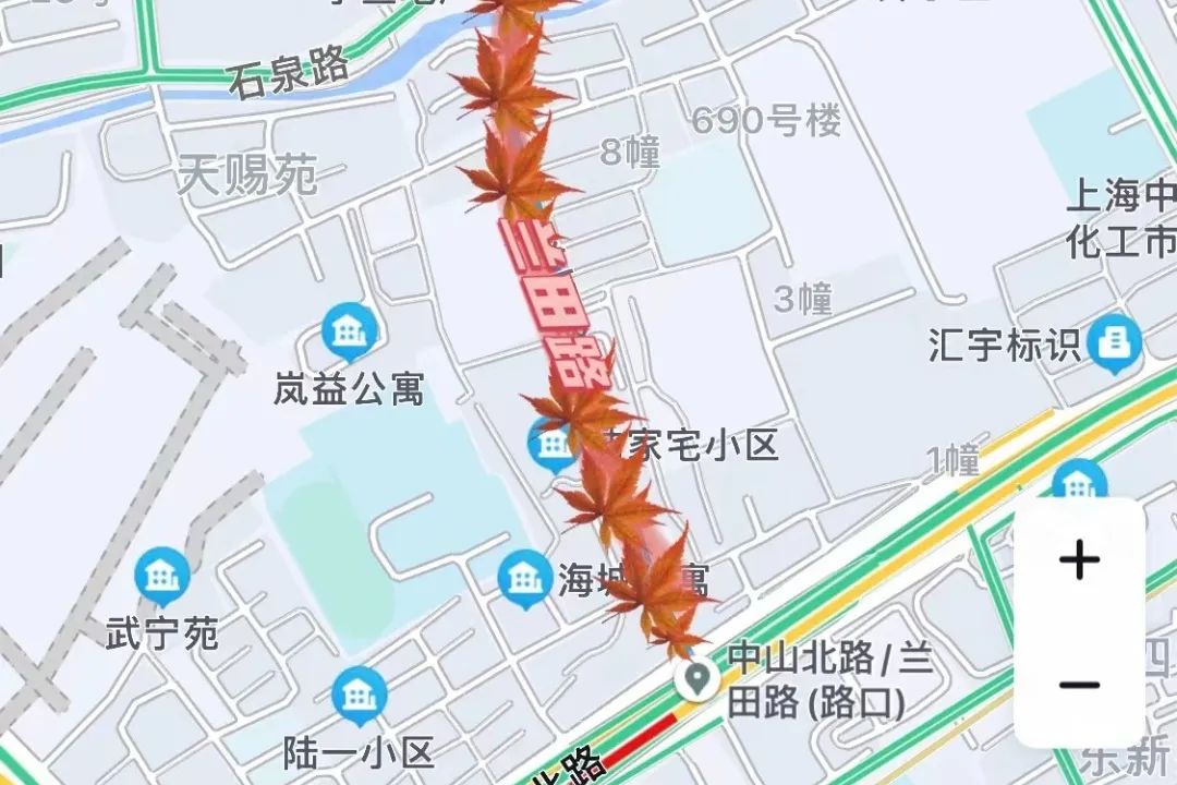 上海最美秋景,上海哪些公园可以拍秋景