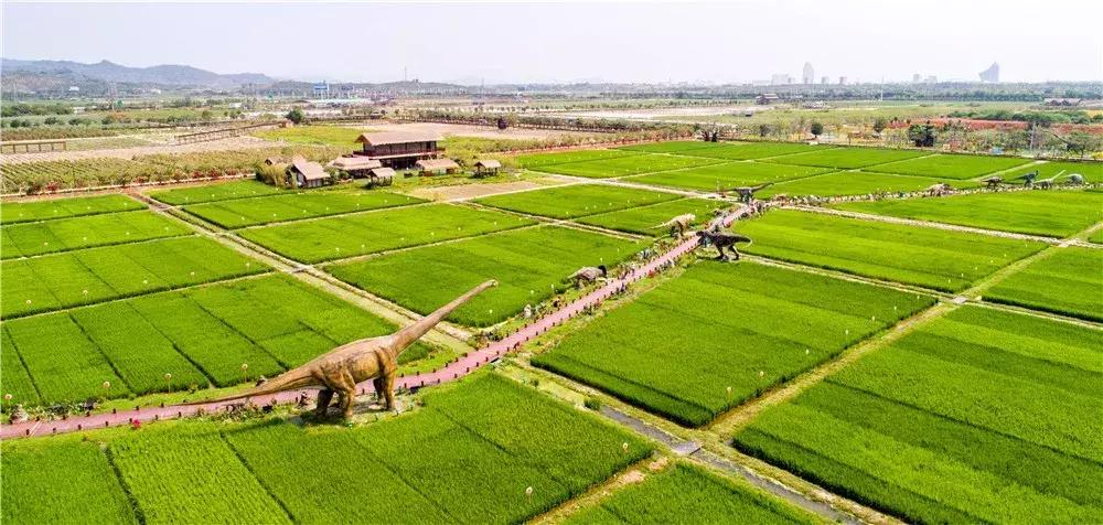 温泉季已到,这个元旦就来一场惬意的海南泡汤+逛吃之旅吧!