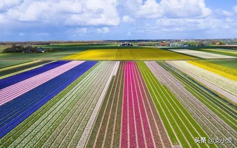 欧洲荷兰真实生活冷知识,荷兰阿姆斯特丹的冷知识