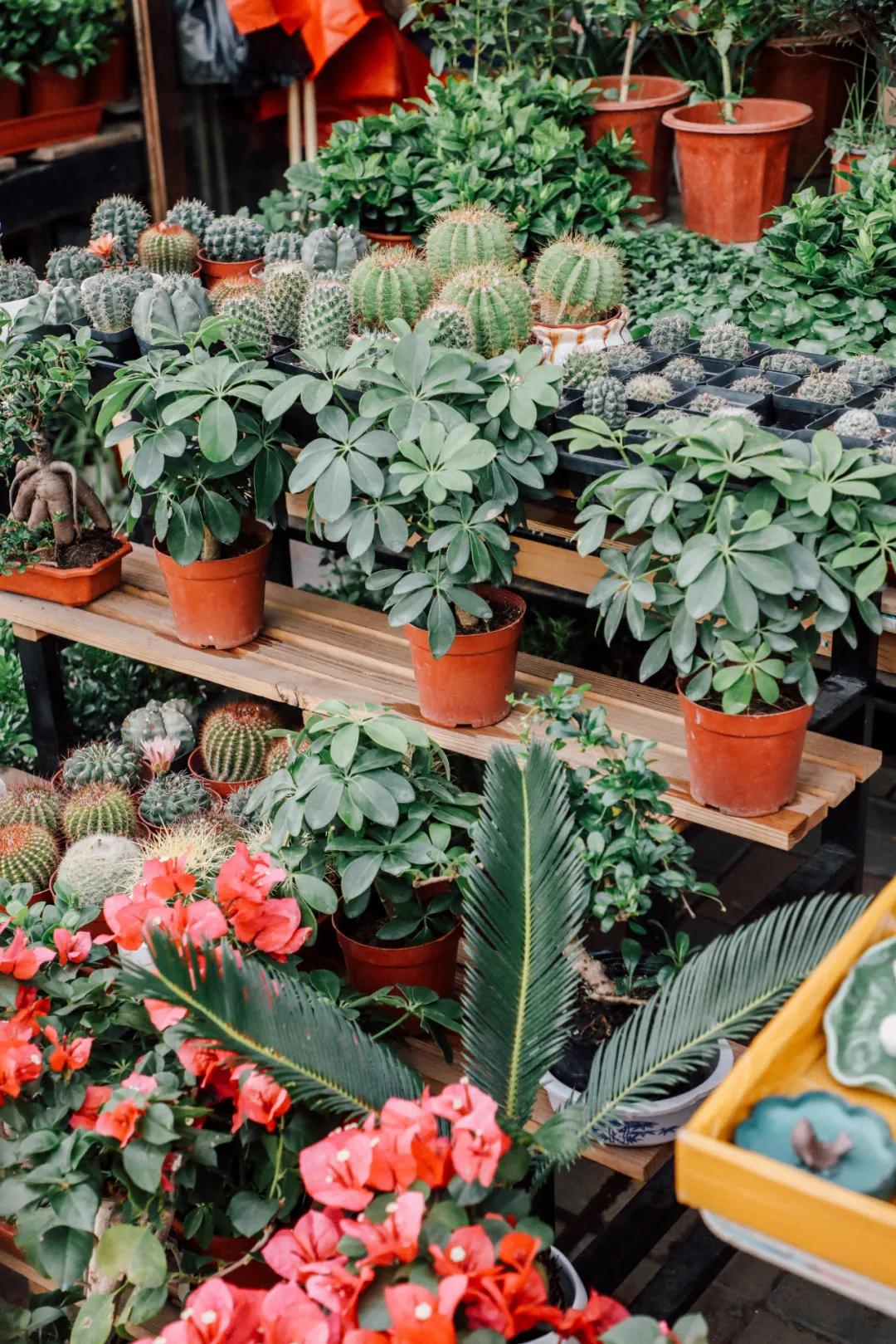 天津最便宜的批发市场在哪里,天津最大的批发市场一览表