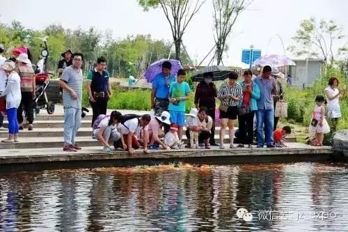 锦州世博园自由行,锦州世博园攻略