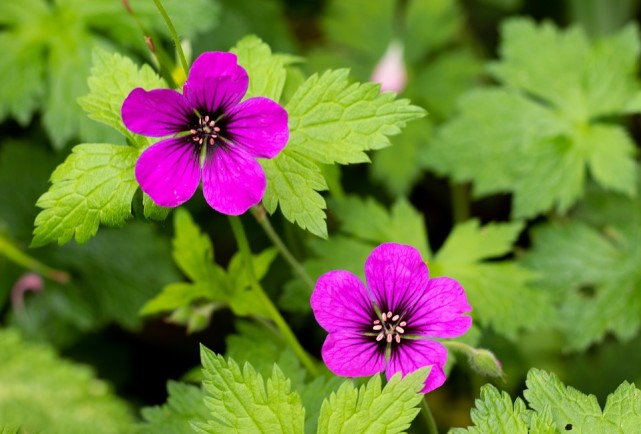 十二星座男喜欢干涉女友的什么事？水瓶座管钱，处女座什么都管