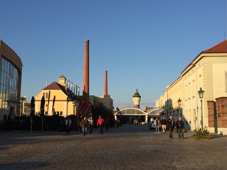 比利时欧捷皮尔森啤酒,捷克皮尔森啤酒