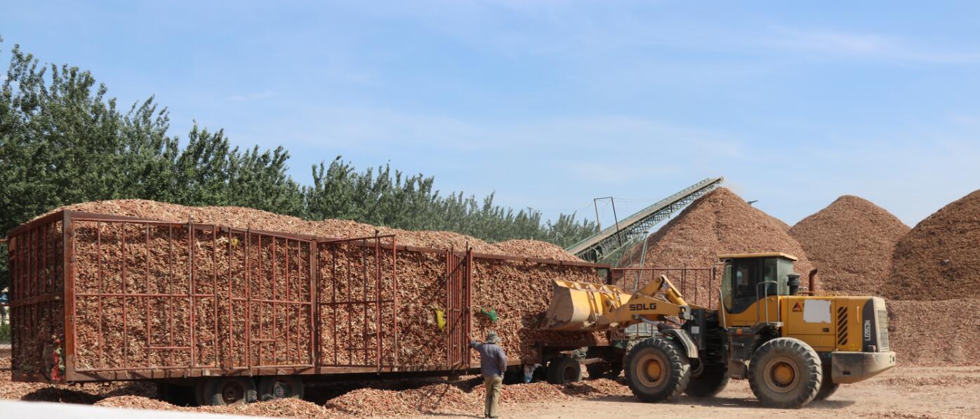以玉米芯为原料，通过功能糖和纤维乙醇联产实现增殖，附成本分析