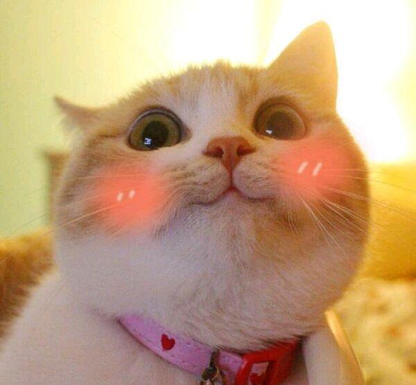 气垫粉底推荐平价干皮,大干皮粉底持久