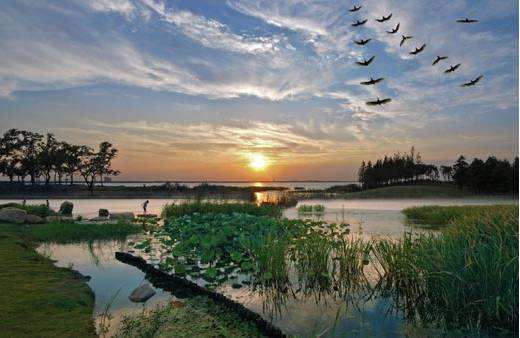 苏州市吴中区旅游景区有哪些,苏州市吴江区七都镇旅游景区