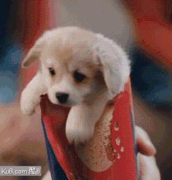 月黑风高倾国倾城,月黑风高日光明媚