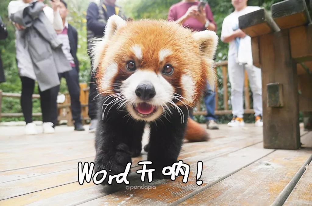 四川熊猫麻将怎么才能赢,打熊猫麻将的诀窍