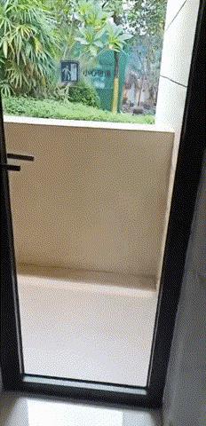 花69万买学校,140万买了个小学