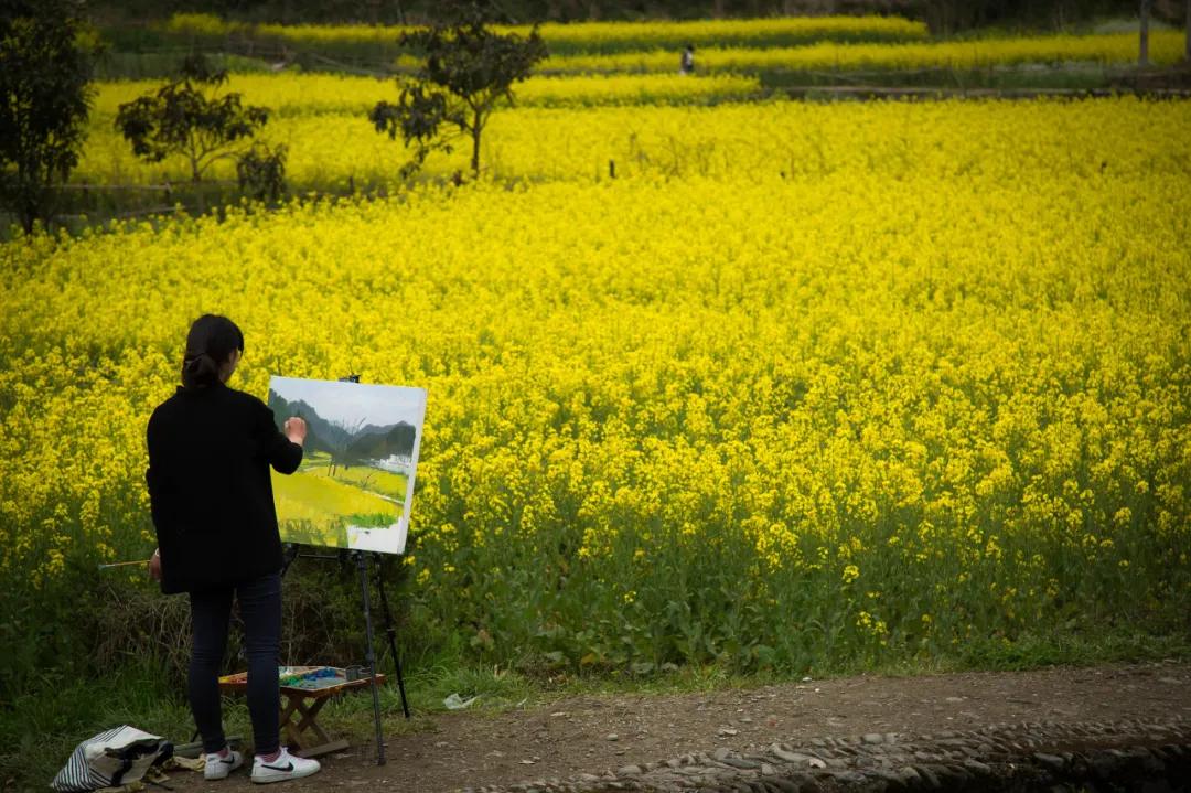 安徽春天美丽的视频,安徽美丽的春天