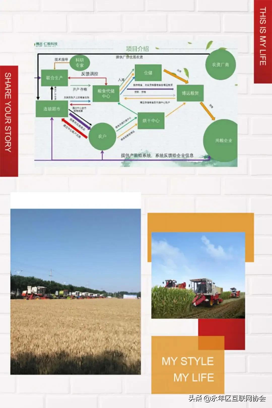 2024年乡村建设工作思路,乡村建设5年行动方案全文