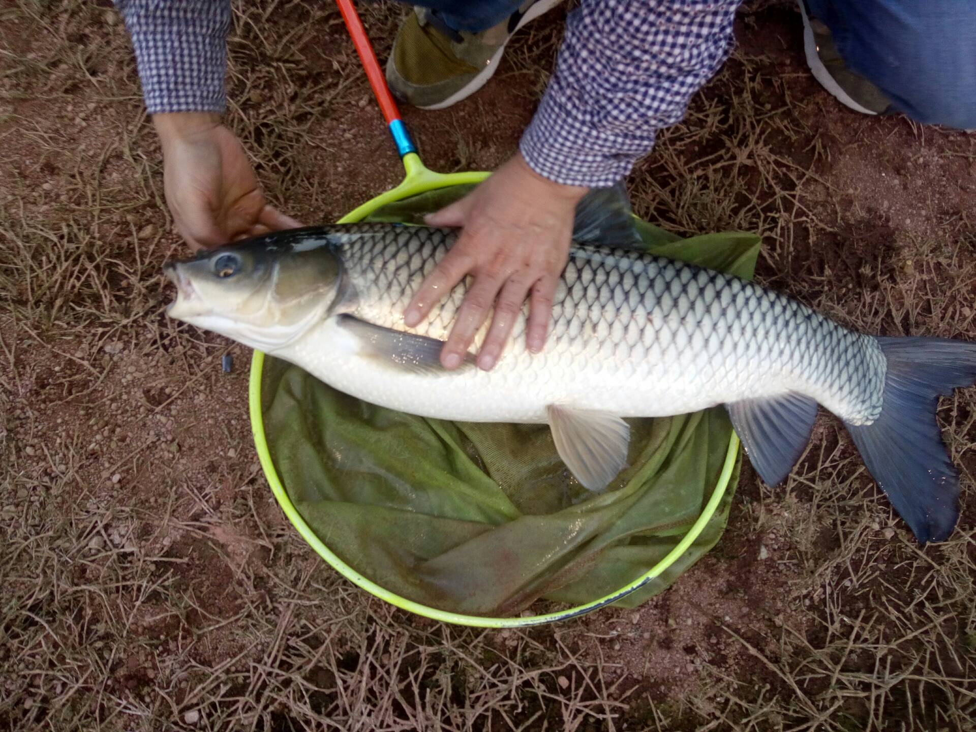 快手野钓主播,快手钓鱼主播奖励70万