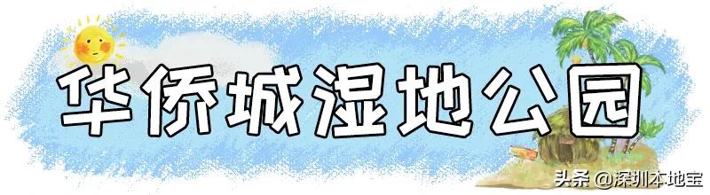 深圳最值得免费去的十大景点,深圳有哪些地方是免费景点