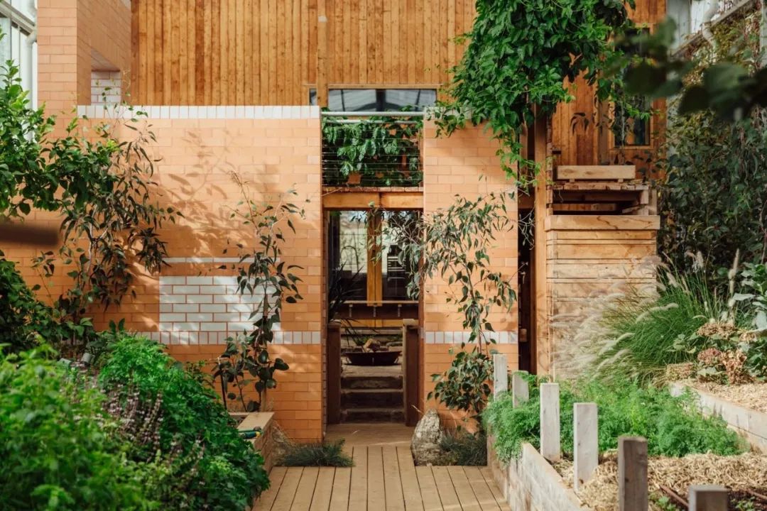 森林屋设计,森林屋建造