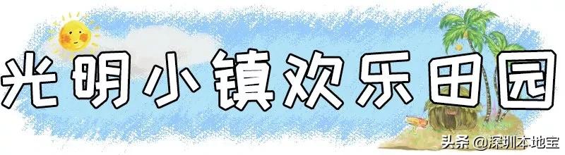 深圳免费的景点有哪些地方,深圳有哪些免费又好玩的地方景点