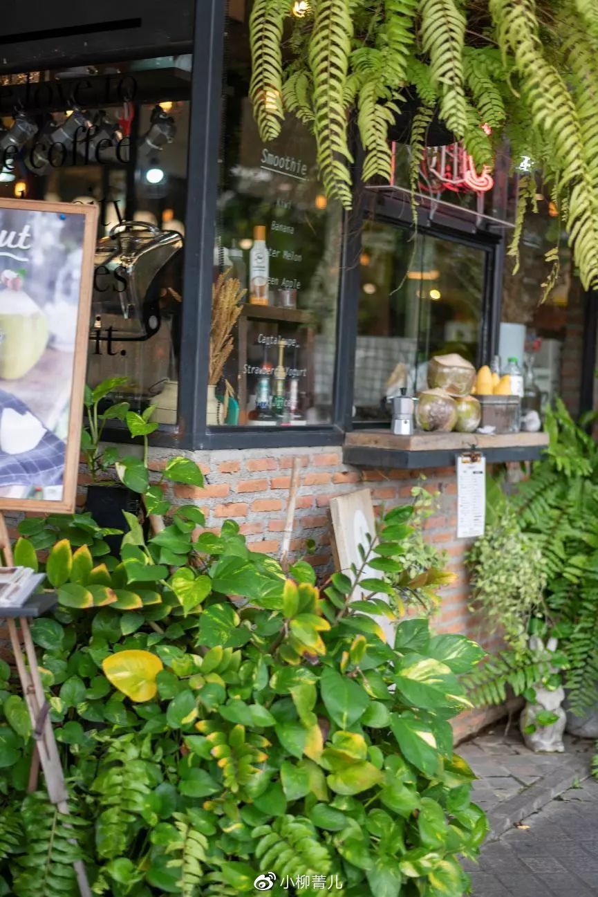 说走就走曼谷这样逛吃玩