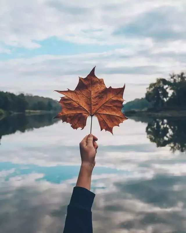广东真的没有秋天凉吗,广东是没有秋天的吗文案