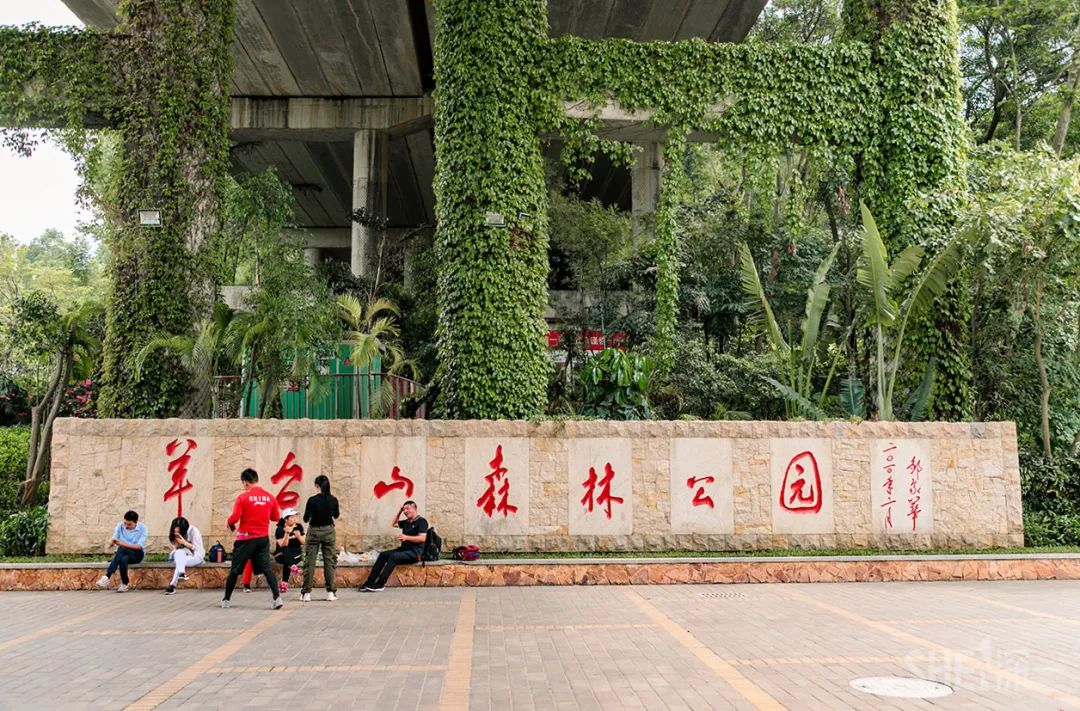 疫情期间免费开放的公园,疫情期间开放的公园有哪些