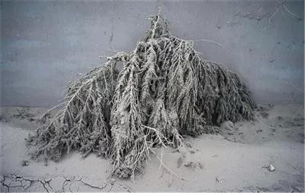 铝厂旁的村庄,铝厂对周边居民有污染吗