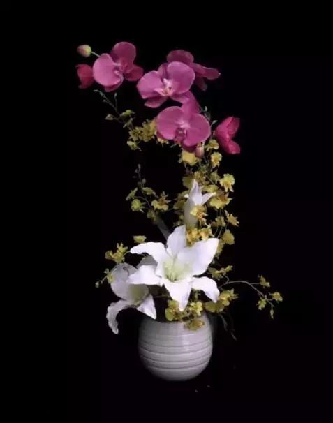 世界十大花卉排行榜名单,世界十大名贵花草