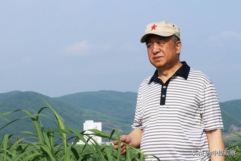 红星乳业集团有机牛奶,红星乳业2019年