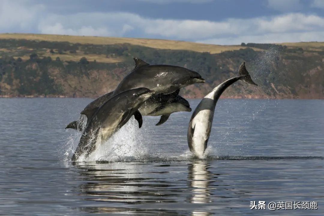 英国最值得去的小镇,英国旅行避暑推荐地方有哪些