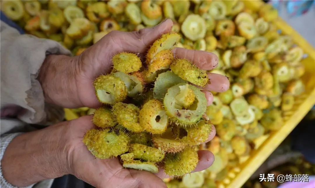 贵州特产刺梨哪个牌子好,贵州刺梨的来历