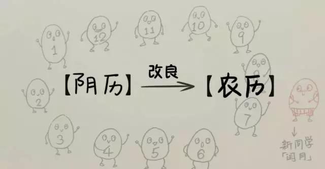 历法知识大全集,历法知识大科普儿童