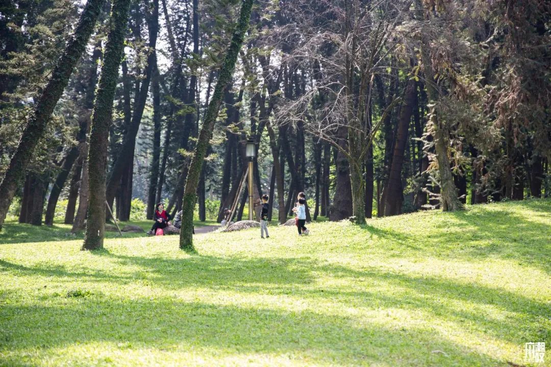 300+万㎡原始森林秘境，天河就有