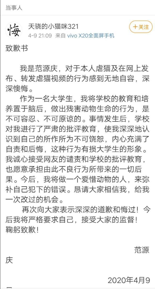 40只流浪猫被人虐待,40多只流浪猫被人虐待