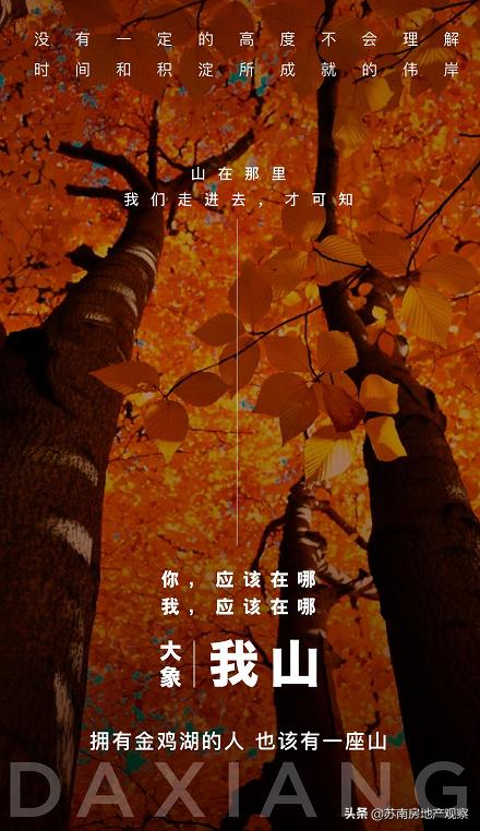 万科能不能入手,万科热销