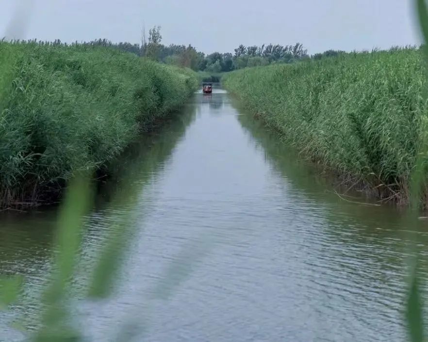 山东自驾游最佳旅游路线发布,山东自驾旅游攻略最全最好的线路