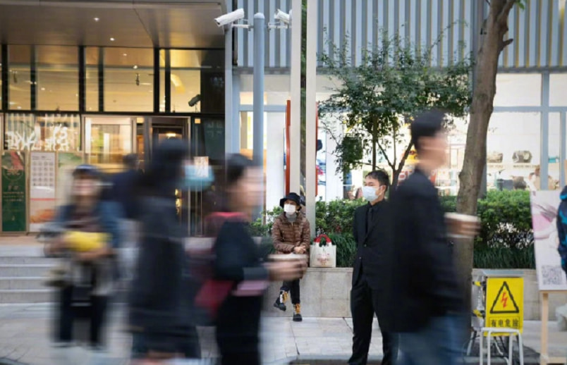 孙俪低调带儿女路边摆摊，收入全部用于流浪动物救助，满满正能量