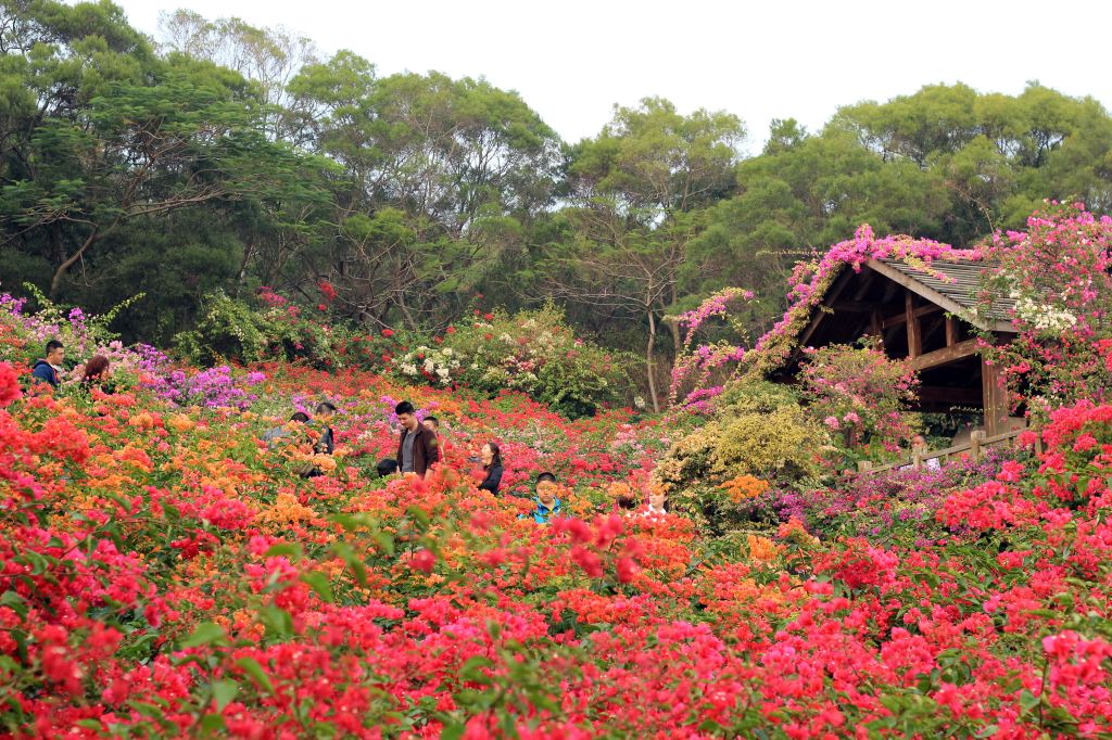 厦门旅游攻略免费,厦门旅游哪里好玩又免费攻略