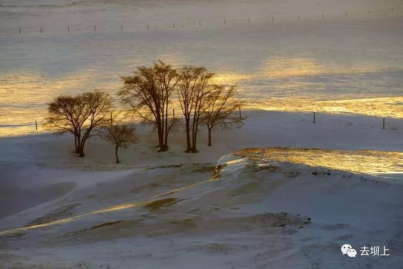 坝上摄影攻略,坝上夏季摄影