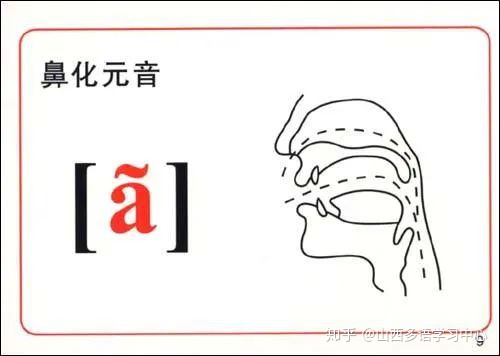 法语音标零基础入门学习,如何学习法语零基础入门
