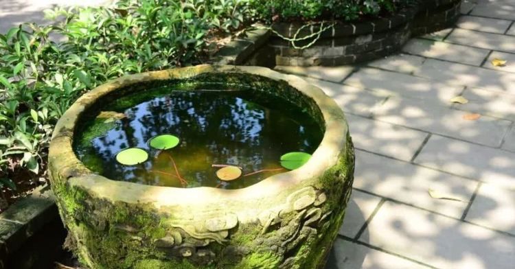 建房子怎么防蛇驱蛇最有效,庭院防蛇虫用什么药