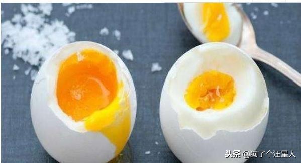 养狗小课堂:泰迪犬除了吃狗粮,这5种食物也能吃!