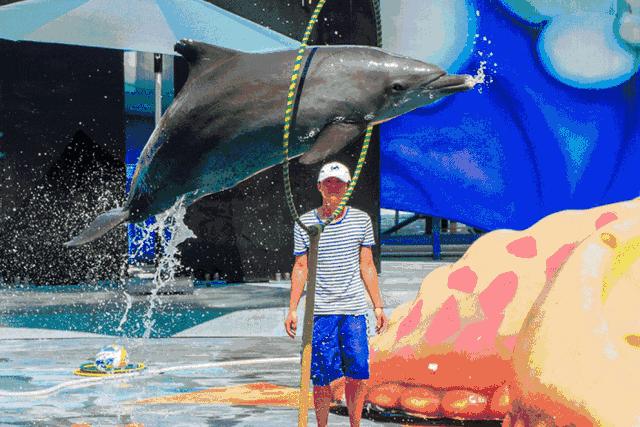 小梅沙海洋公园海底世界开放了吗,小梅沙海洋公园海底世界