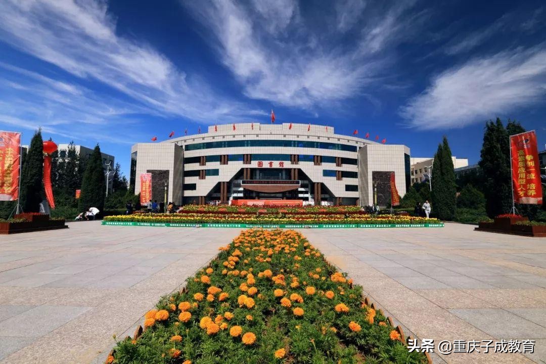 中国最有发展潜力的20所大学,中国最具有潜力的十所大学