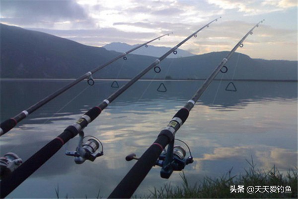 野钓必杀装备:手海两用竿的钓组搭配,野钓用这一套装备就够了!