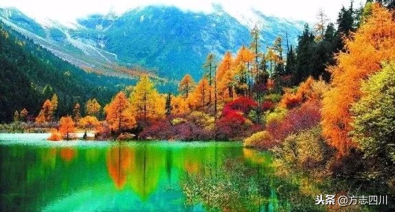 四川改革开放的重大改变,1988年四川改革开放大事记