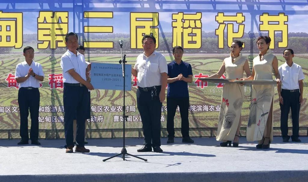 曹妃甸稻花节怎么样,曹妃甸稻花节现状