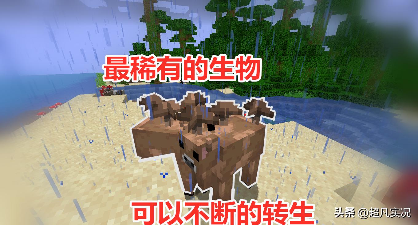 我的世界蘑菇牛怎么养殖,我的世界蘑菇牛变灰了怎么变回来